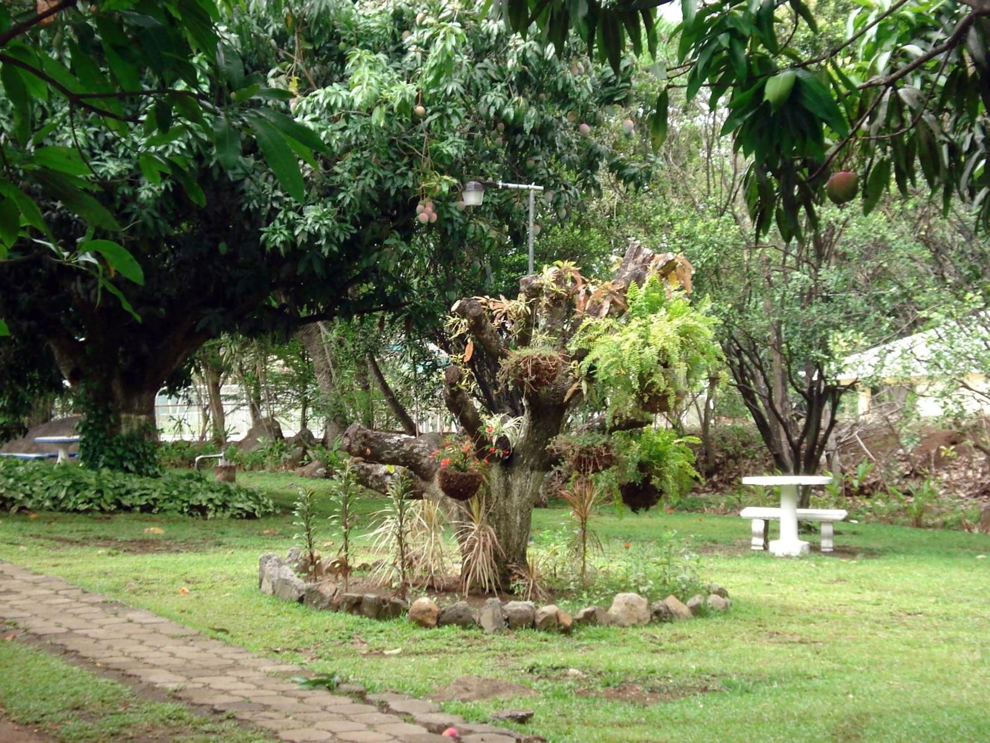 Aeropuerto 3* Las Ciruelas (Alajuela)