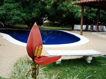 Aeropuerto Hotel Las Ciruelas (Alajuela)